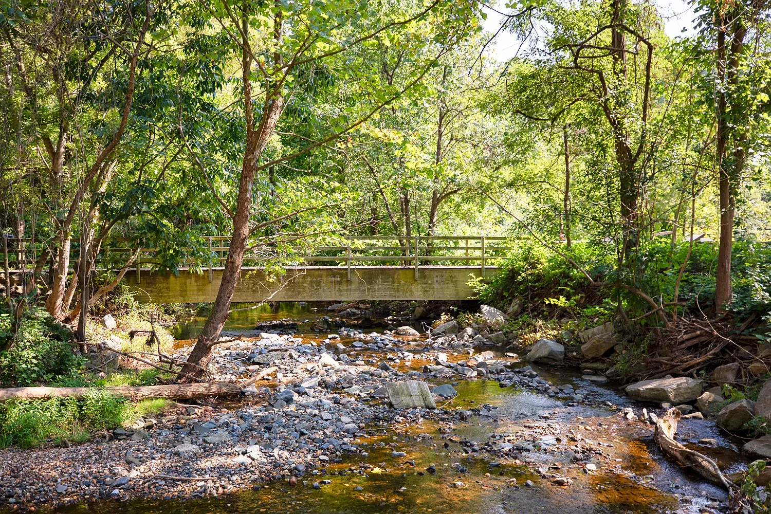 Dorsey Mill — Photo 1