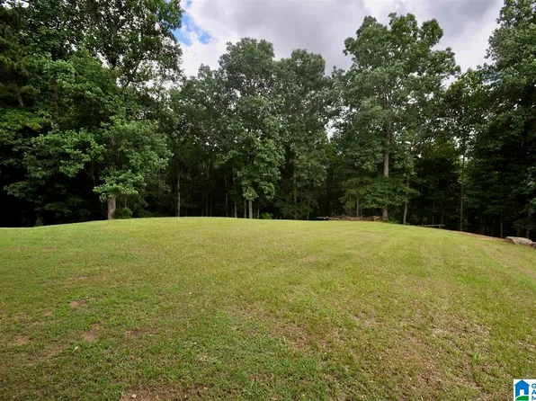 0 Ryan Creek Rd #5 & 6, Cullman, AL 35055