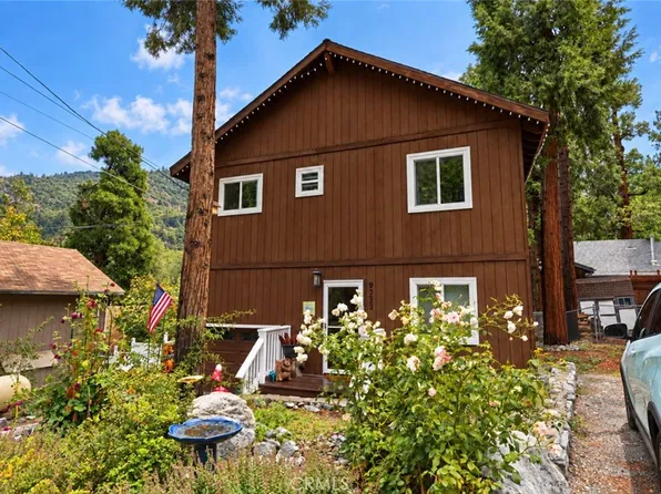 9333 Canyon Dr, Forest Falls, CA 92339