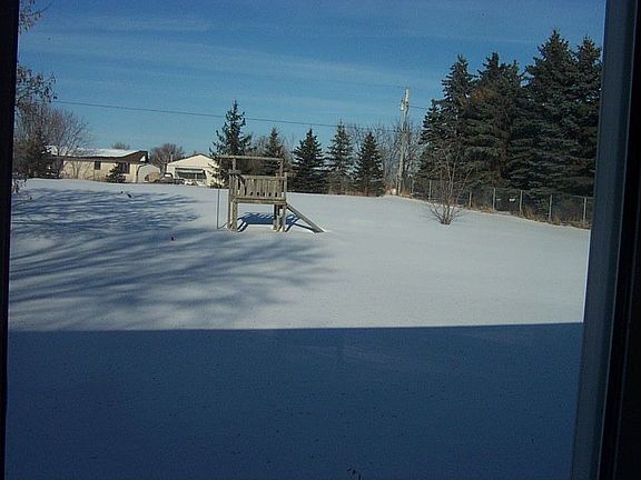 another view of backyard