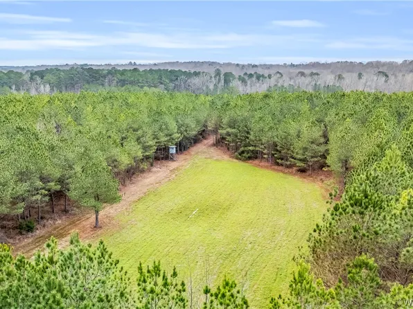 0 County Road 12, Carrollton, AL 35447