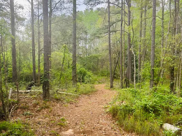 County Road 101, Andalusia, AL 36420