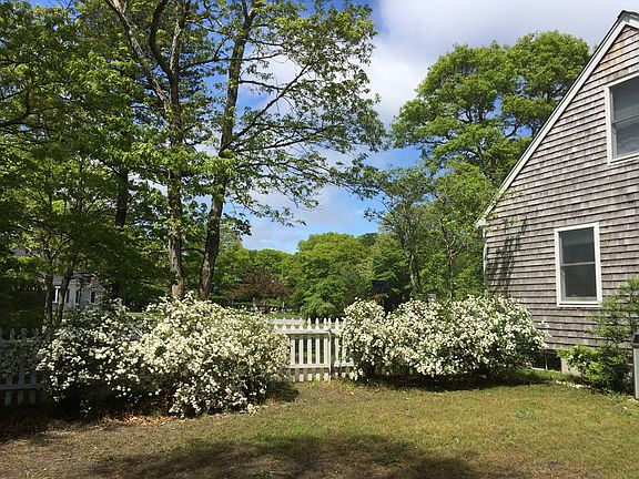 view from back of the house