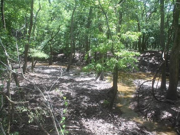 3rd image of 0 County Road 159