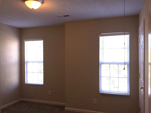 1228 Hampton Park Dr — Photo 11