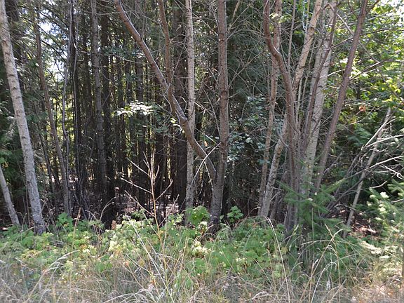 3rd image of Fraser Rd