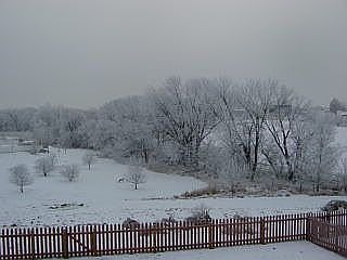 View from Deck
