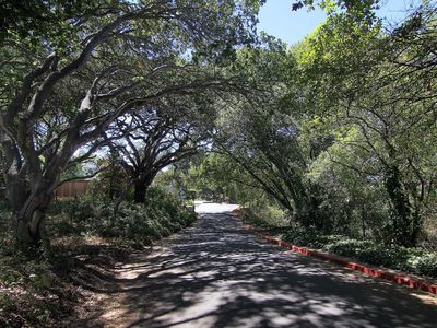 1629 Taylor Ln, Santa Cruz, CA, 95062