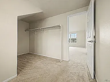 2225 Mountain Sage Dr — Photo 18