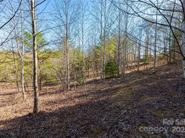 3 Summer Rd, Hendersonville, NC 28792