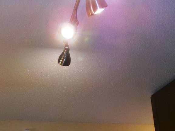 3rd image of 1150 Town Centre Dr APT 15