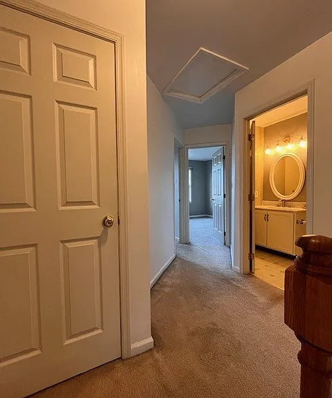 305 S Oak St — Photo 21