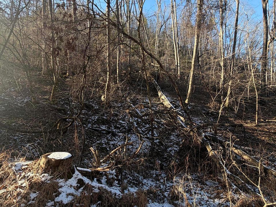 1st image of Williams Ln