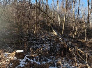 Williams Ln, Butler, TN 37640