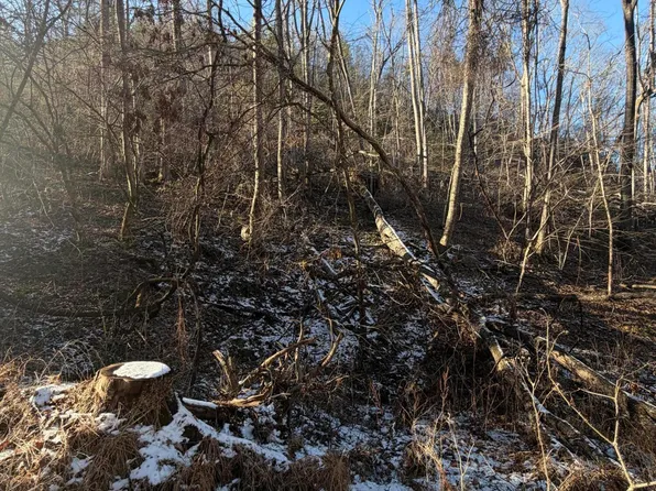 Williams Ln, Butler, TN 37640