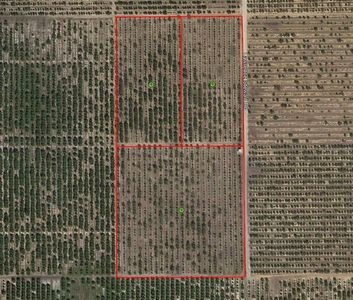 Lawrence Stewart Rd, Frostproof, FL, 33843