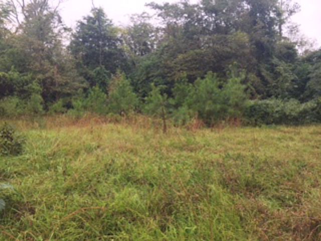 1st image of 111 Peach Orchard Dr