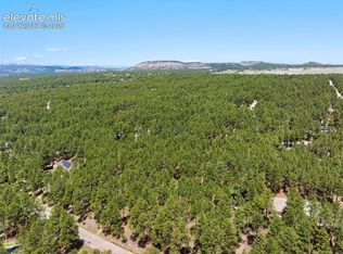 140 E Stirrup Trl, Monument, CO 80132
