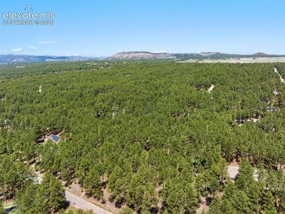 140 E Stirrup Trl, Monument, CO, 80132