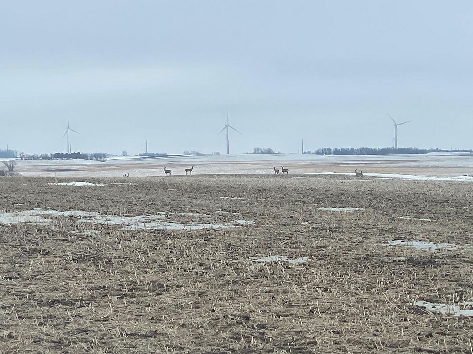 230th St, Rushmore, MN 56168 MLS 6338467 Zillow