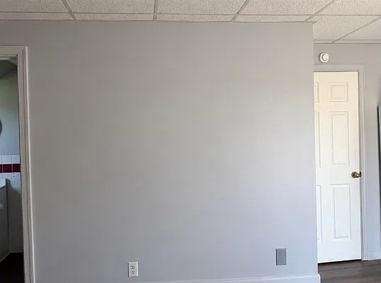 1 bed, $950 — Photo 2