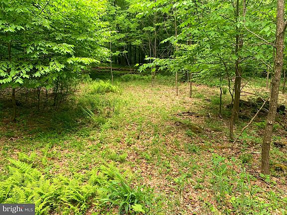 2nd image of Wilderness Dr