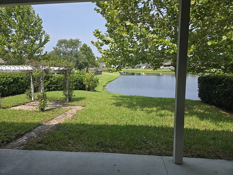 backyard view