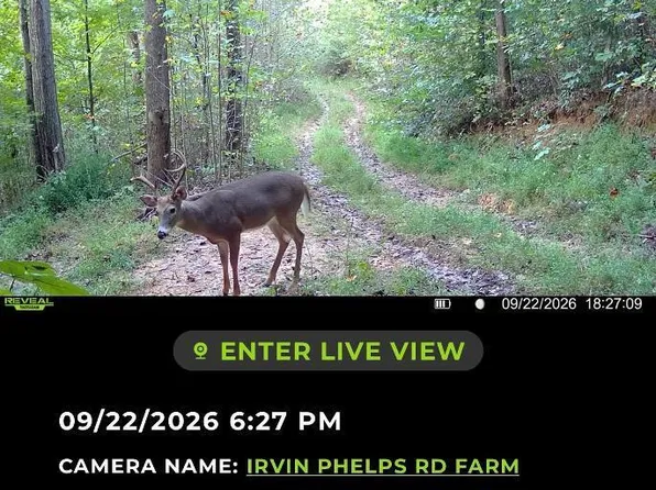 101 Irvin Phelps Rd, Somerset, KY 42501