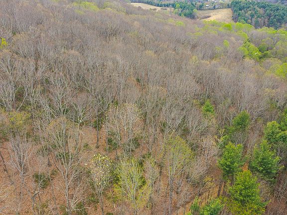 3rd image of Tbd Cox Store Rd