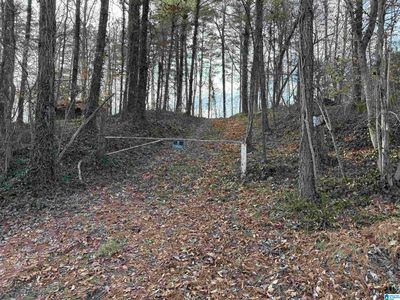 0 Old Georgia Rd, Heflin, AL, 36264