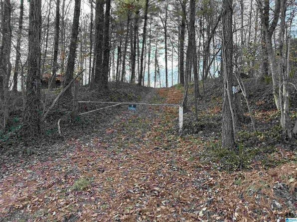0 Old Georgia Rd, Heflin, AL 36264