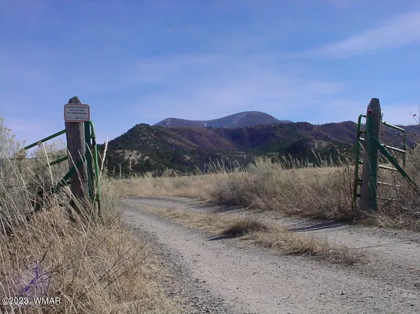 Highway 180, Nutrioso, AZ 85932