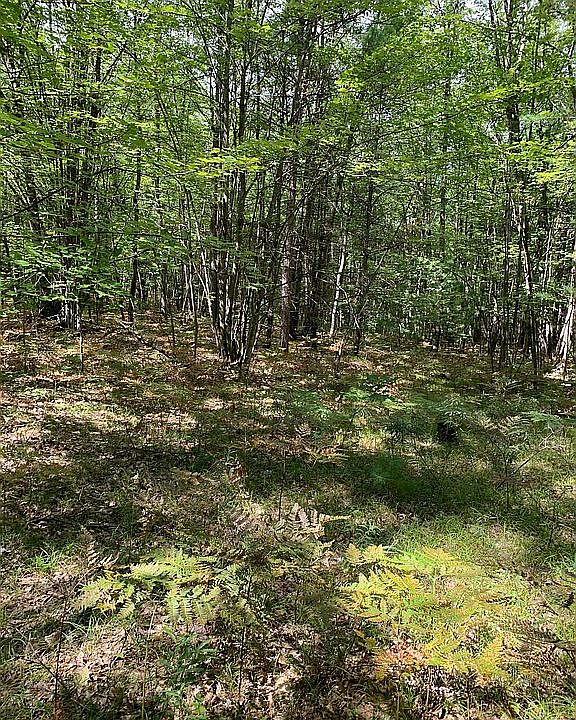 2nd image of 1736 W Gaukel Rd
