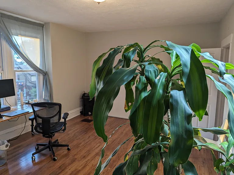 621 Kirtland St — Photo 35
