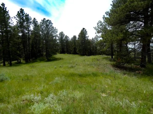 LOT 35 Wild Horse Rd Lot Wp001, Forsyth, MT 59327