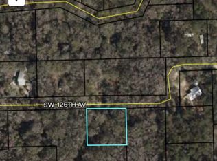 203 SW 126th Ave, Steinhatchee, FL 32359
