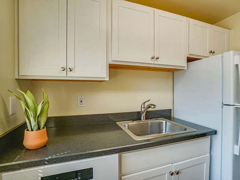 Sussex Village Apartments — Photo 8