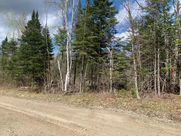 Lot L Cow Team Road, Crystal, ME 04747