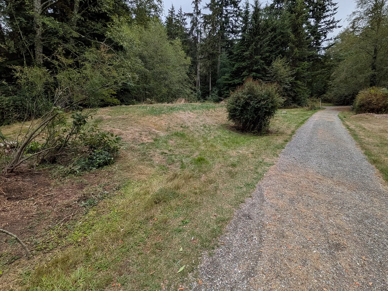 State Route 525, Greenbank — Photo 2