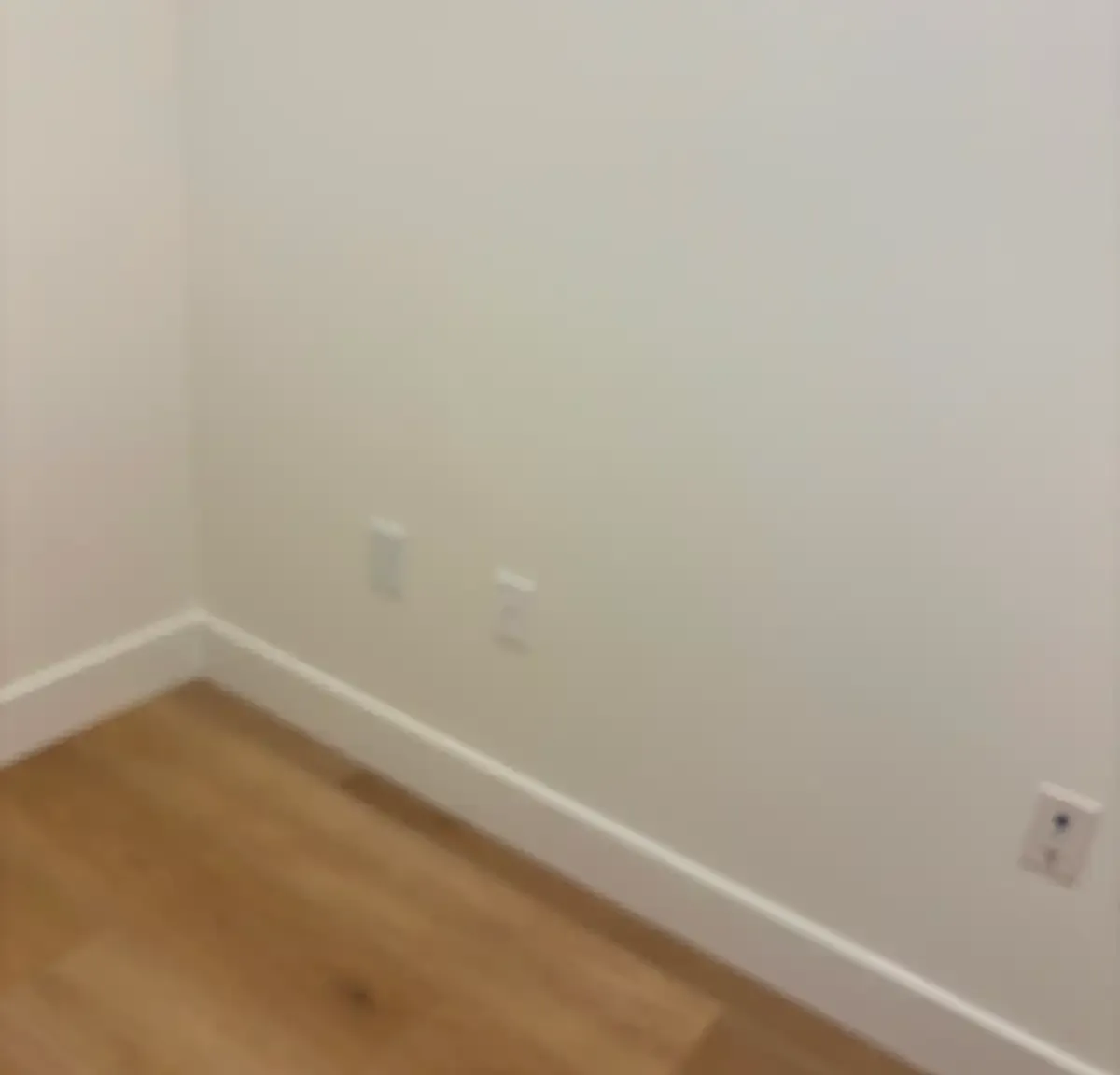 2 bed, 900 sqft, $2,550 — Photo 3