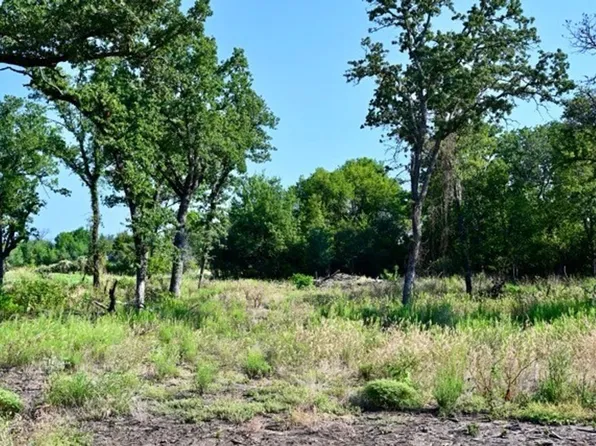 63 Camden Ln, Springtown, TX 76082