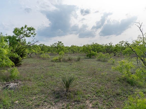 Land for Sale with Water Well in Mullin, Texas