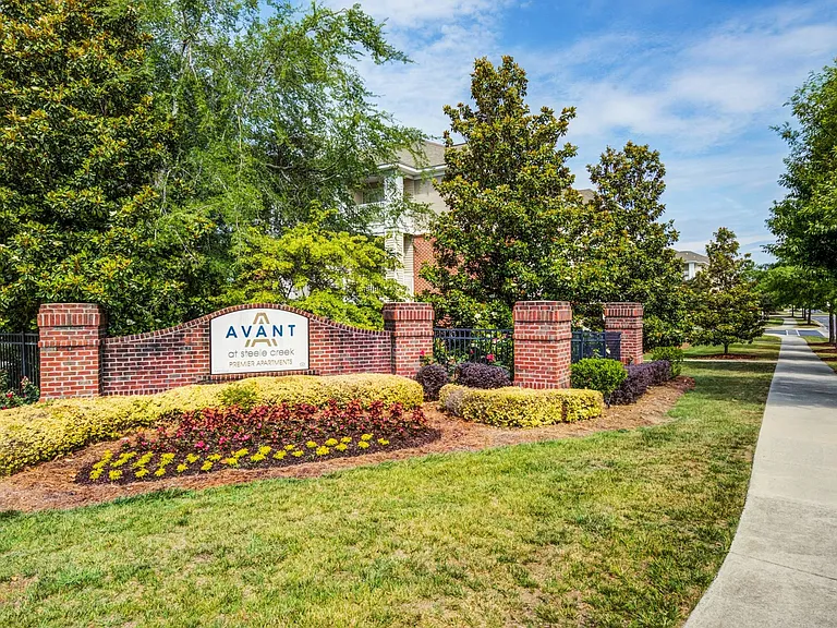 Avant at Steele Creek — Photo 22
