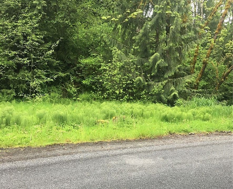 1st image of 141 Forest Retreat Dr