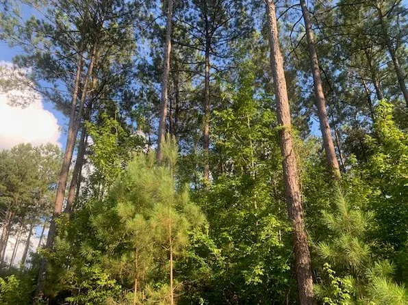 Dalton Ln SW, Smithdale, MS 39664