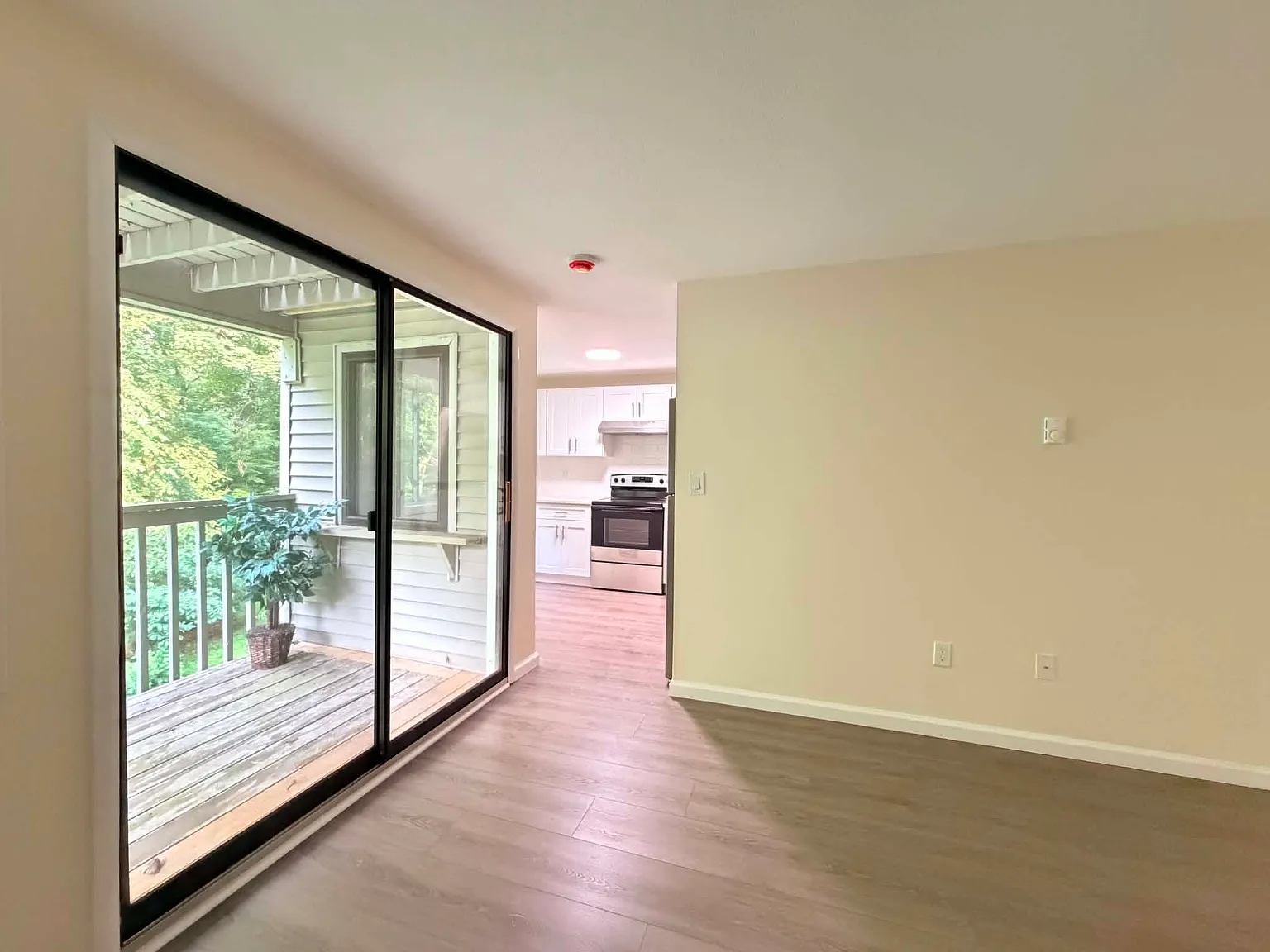1 bed, 604 sqft, $1,800 — Photo 3