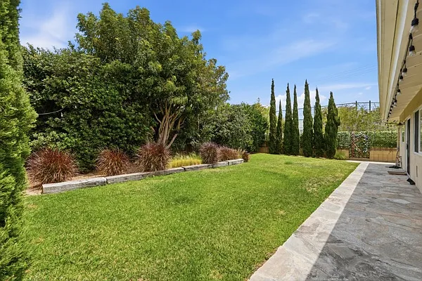 Backyard.
