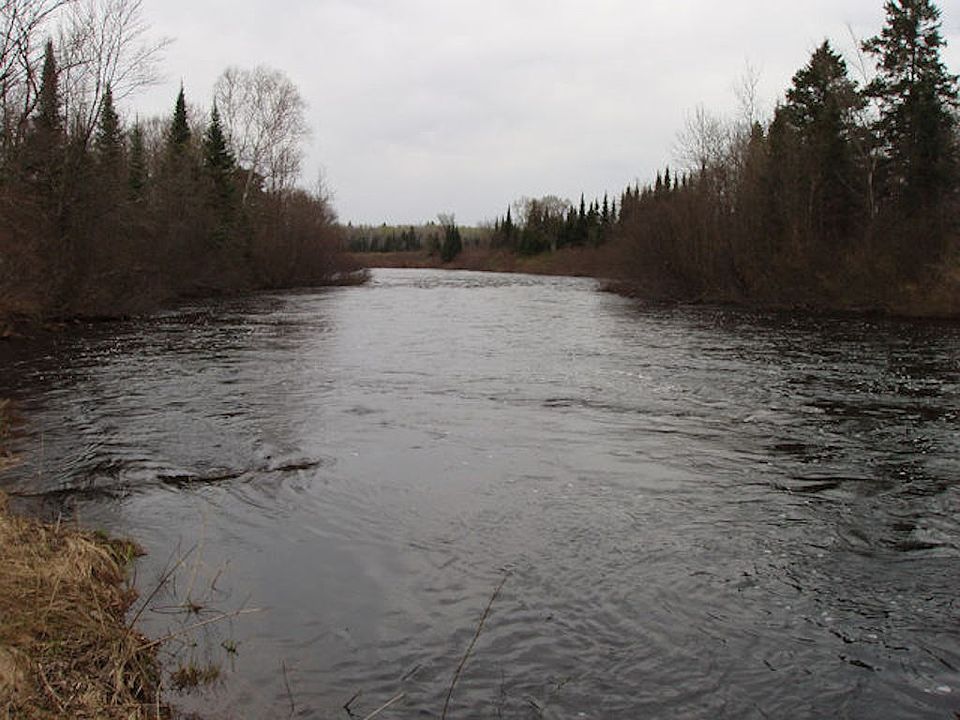 1st image of On Forest Rd 169