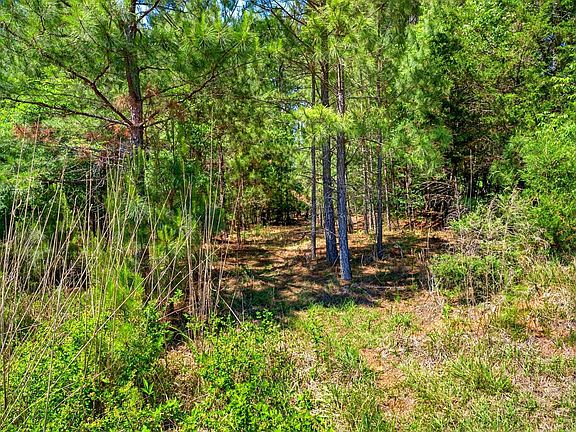 5th image of 0 Gowdeysville Rd Lot 1
