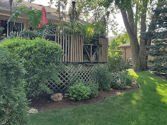 Real back yard image